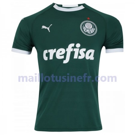 Maillot de Foot Palmeiras Domicile 2019-20